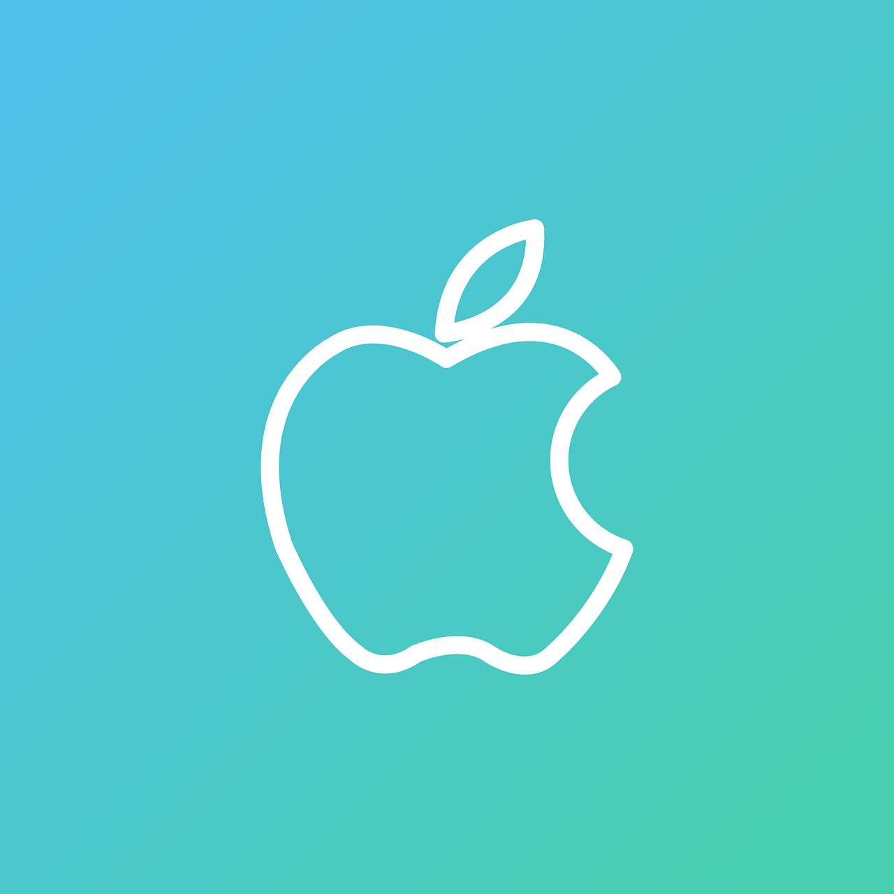 pixabay-3372581-15.png